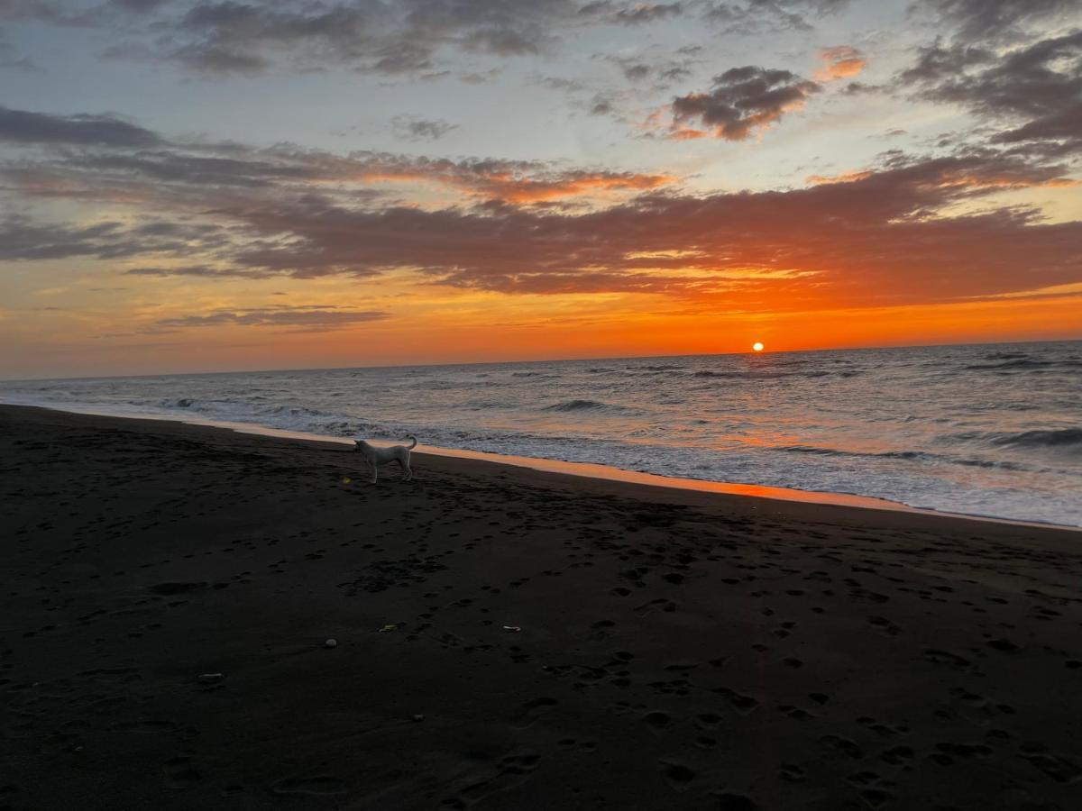 Vistapaloma Beach Resort Odiong Εξωτερικό φωτογραφία